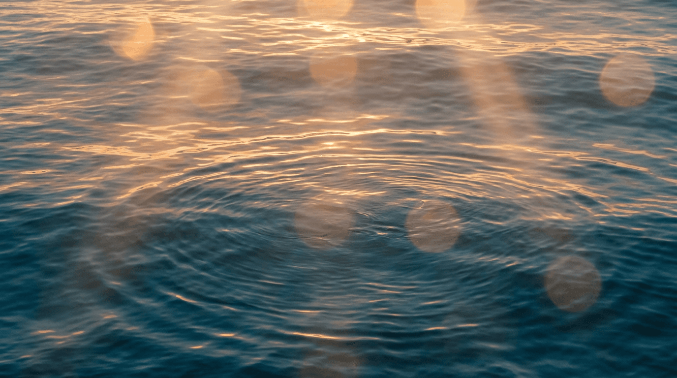 Understanding the Overstimulated Nervous System: Why Your Body Stays in Survival Mode