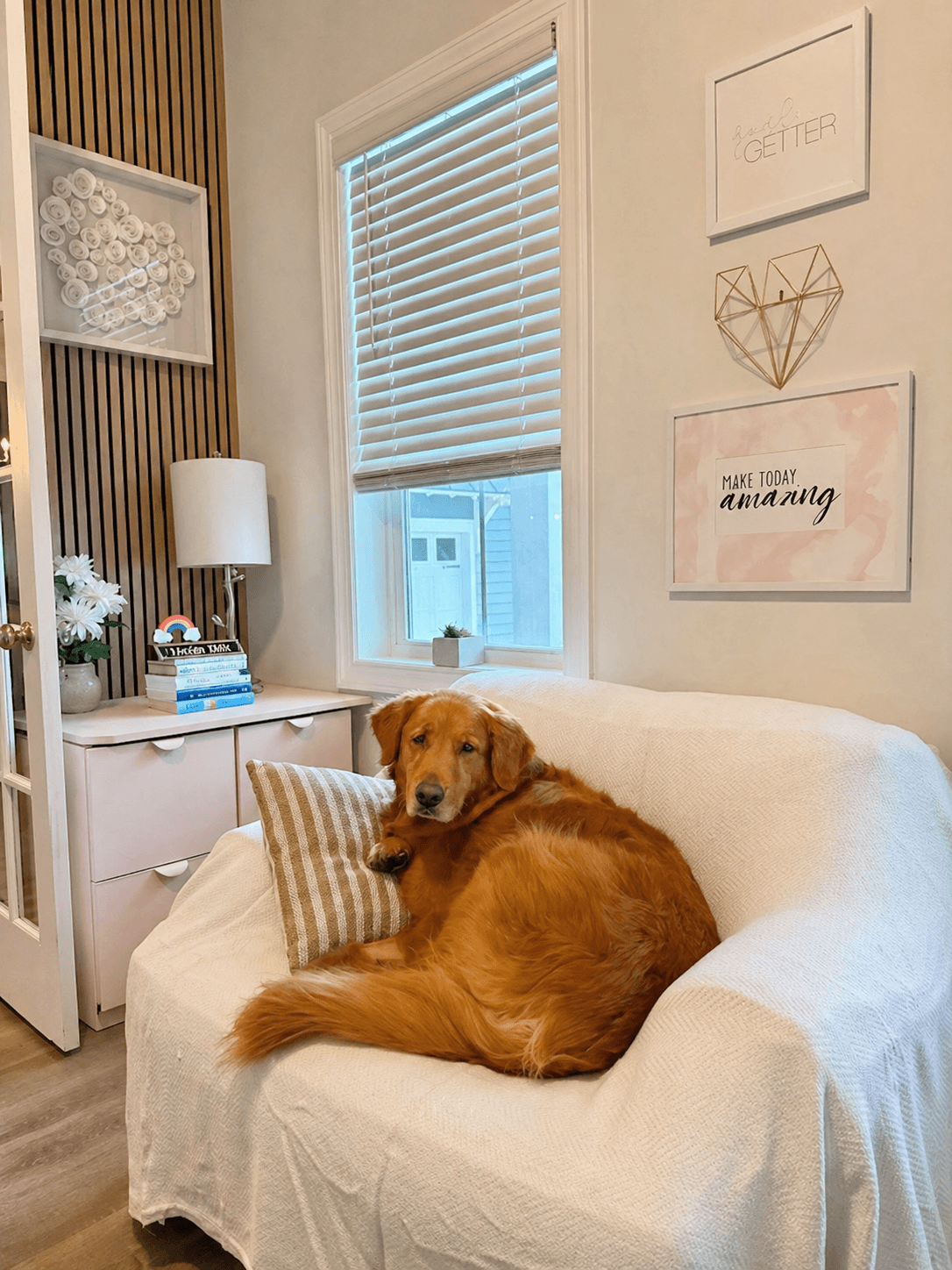 Golden retriever dog resting on a white armchair in a bright room with wall decor.
